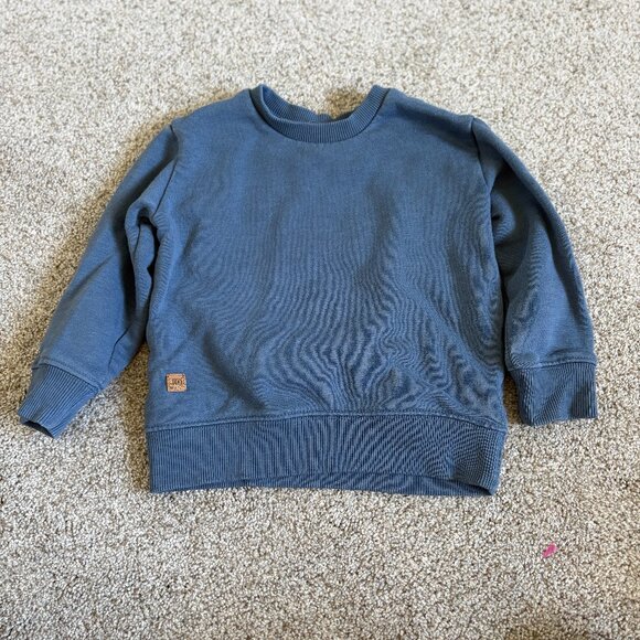 Tentree Baby Boy Crewneck Sweatshirt Blue Size 18-24 months - Picture 1 of 8